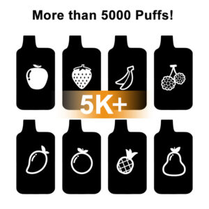5000+ Puffs Mystery Disposable Vape
