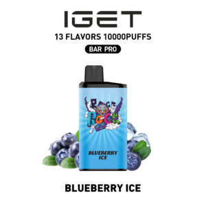 Blueberry Ice